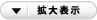 拡大表示